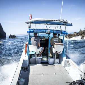 Fundraising Page: TIM Davis